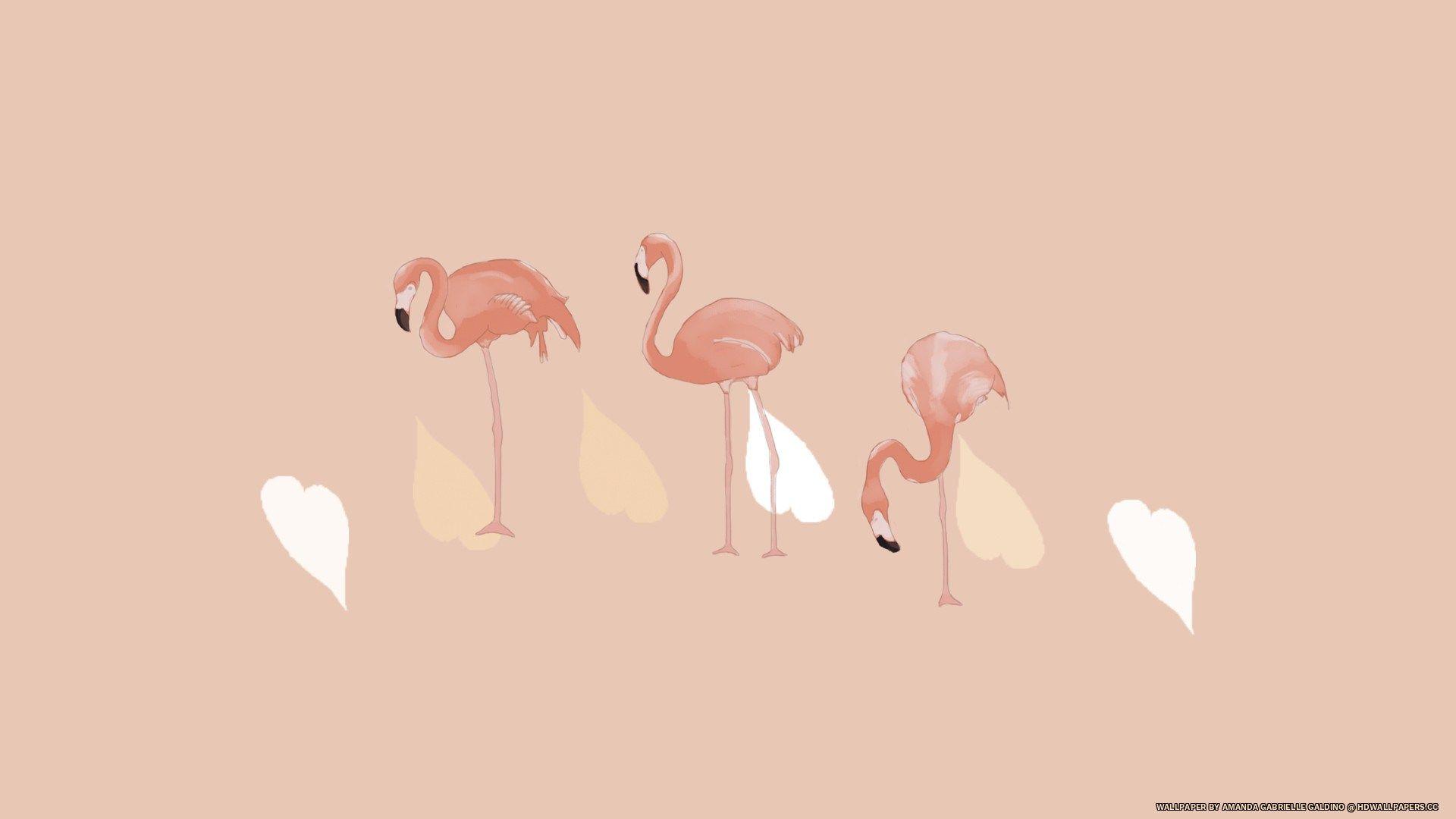 Cartoon Flamingo Wallpapers Top Free Cartoon Flamingo Backgrounds Wallpaperaccess