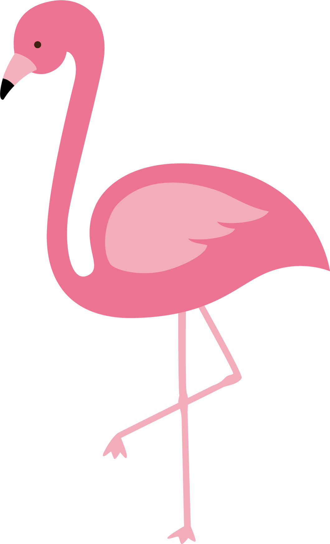 flamingo cartoon images