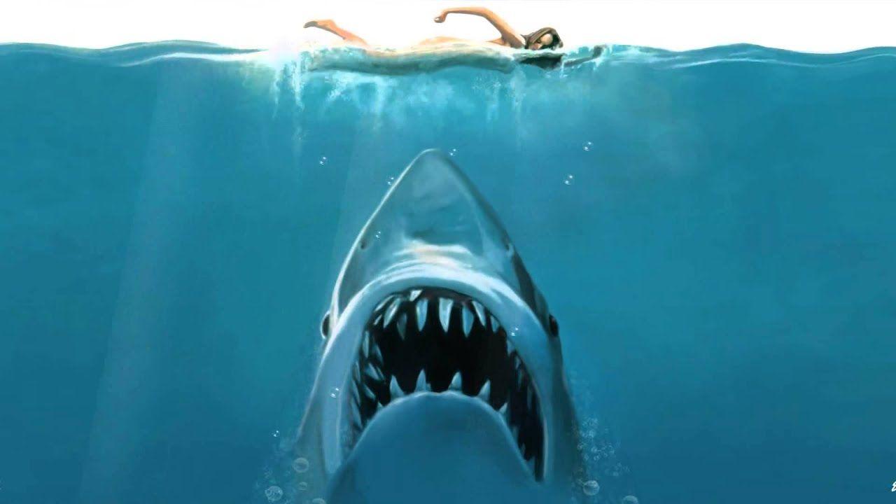 1280x720 Shark Attack Animated Wallpaper