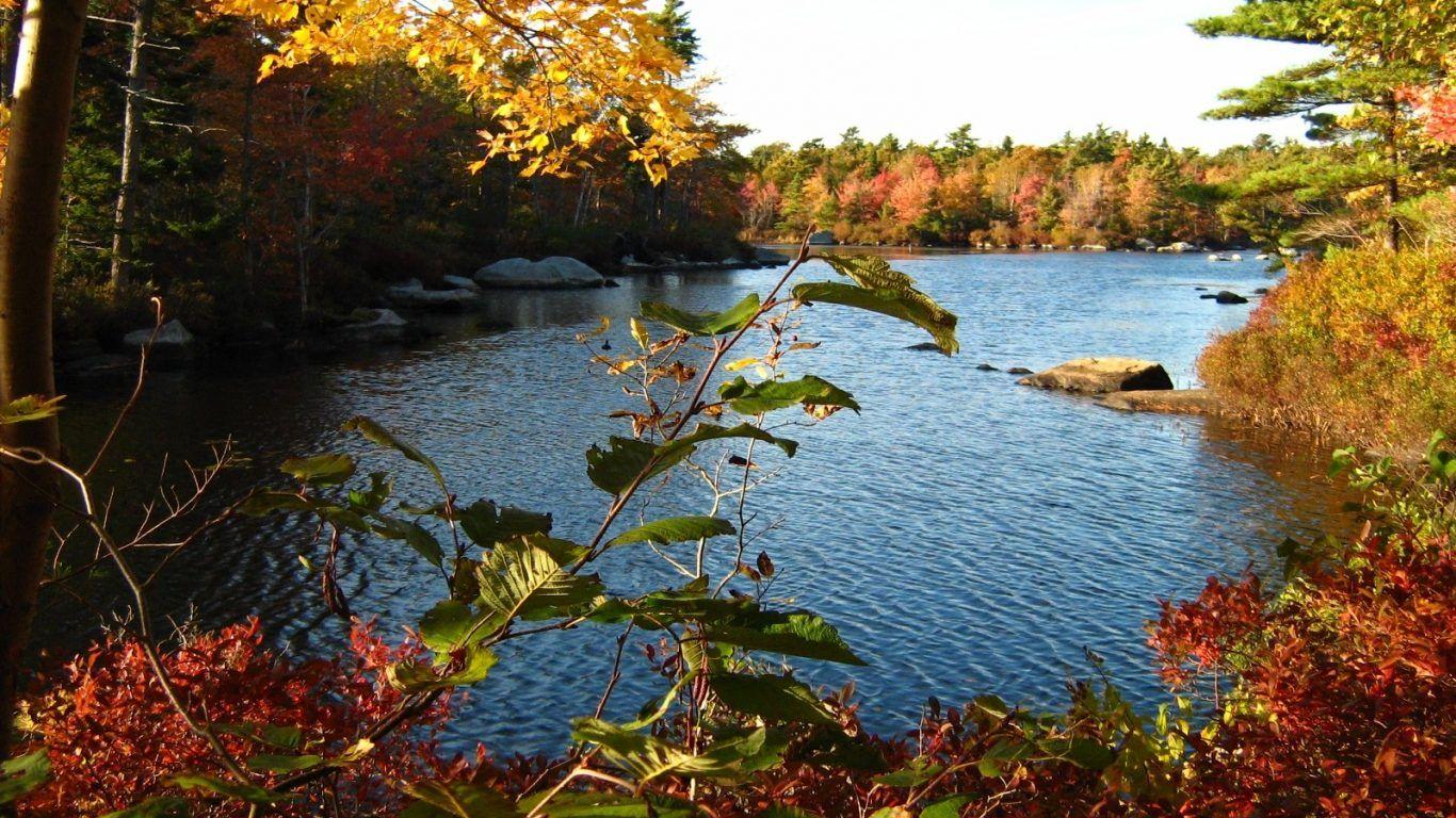 1366x768 Forest Hill Ogawa Texas Usa Creek Country Wallpaper Desktop