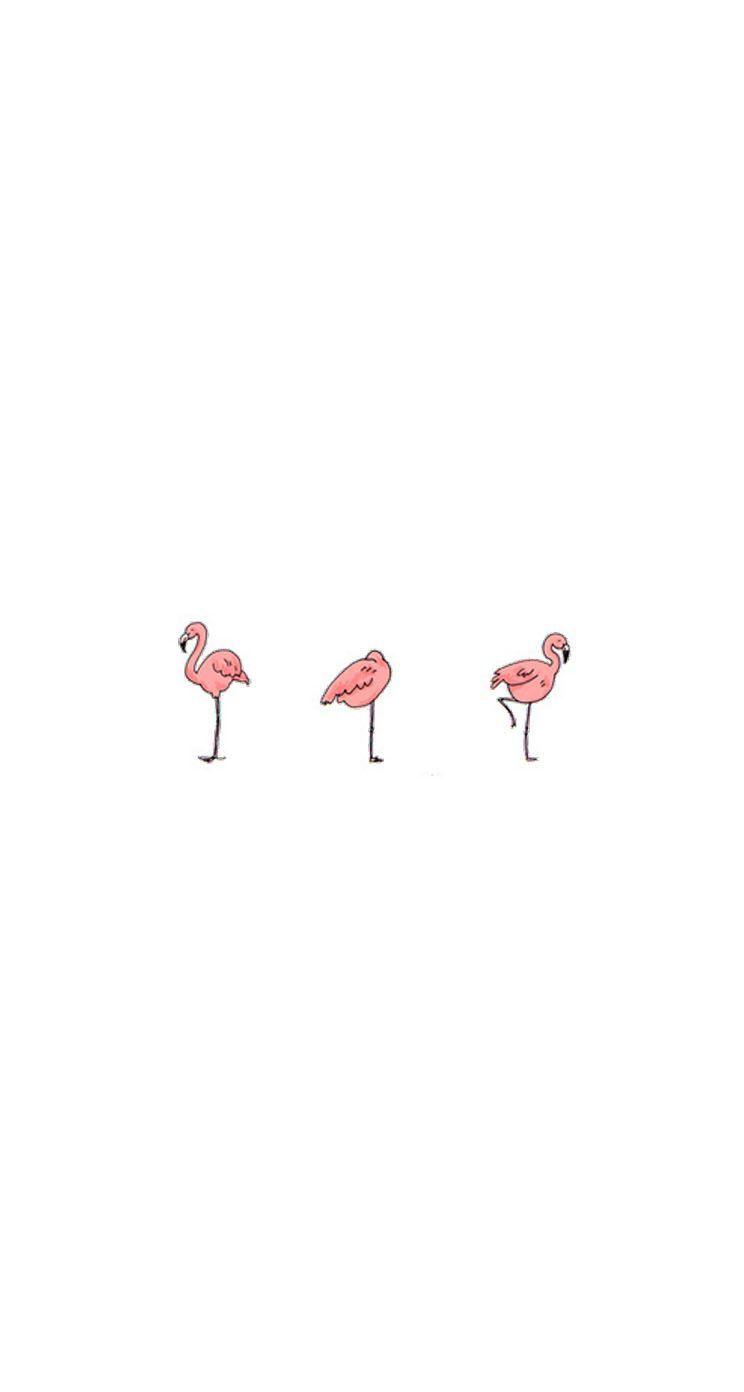 Cartoon Flamingo Wallpapers - Top Free Cartoon Flamingo Backgrounds ...