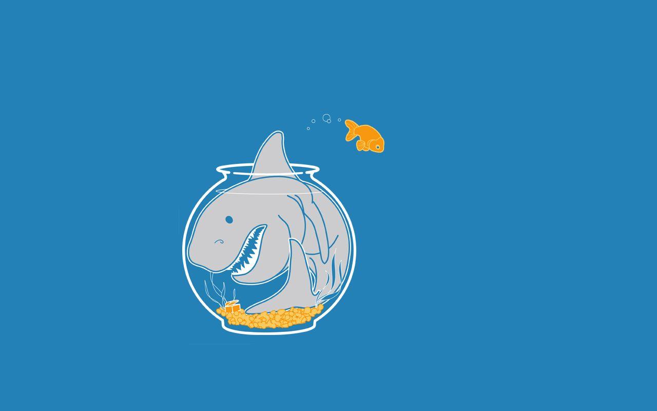 1280x800 Shark in a goldfish bowl Wallpaper