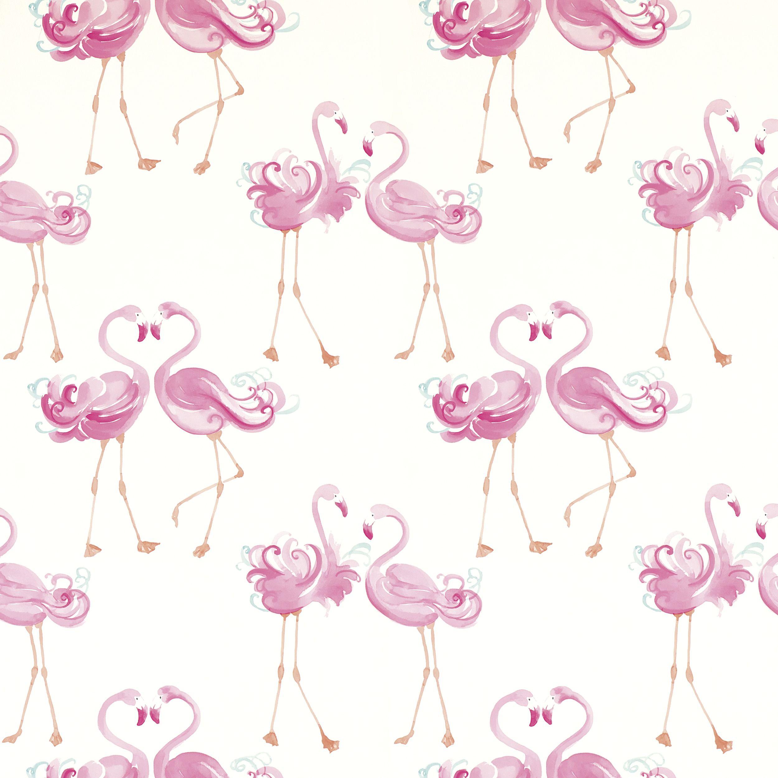 2500x2500 Flamingo Wallpaper and Background Image