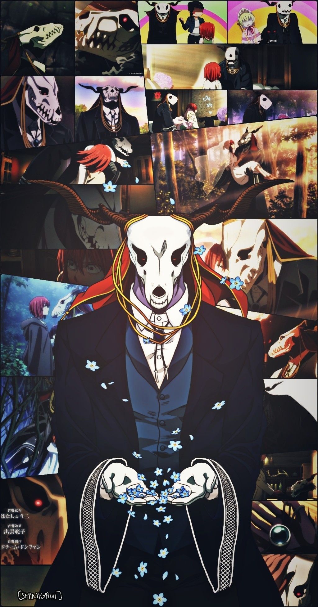 1024x1956 Ainsworth Fondo