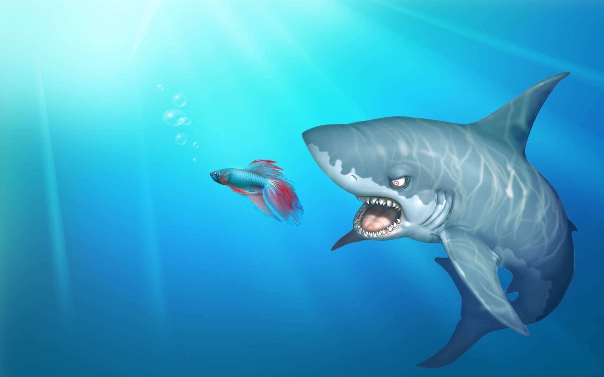 Cartoon Shark Wallpapers - Top Free Cartoon Shark Backgrounds