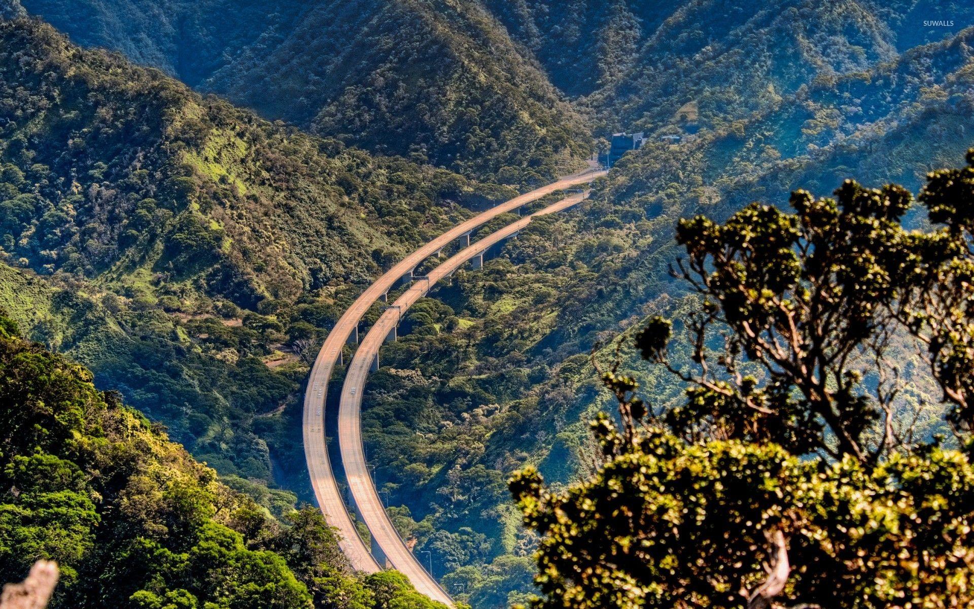 1920x1200 Highway above the forest wallpaper wallpaper