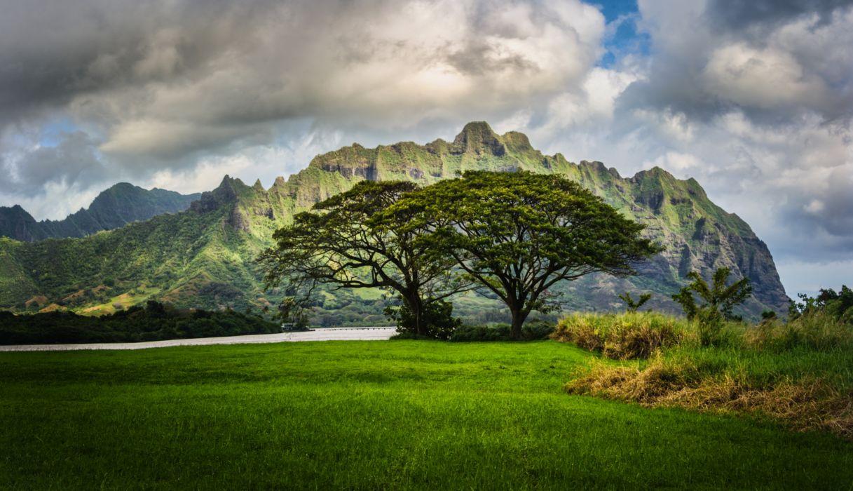 1217x700 Scenery Mountains Oahu Hawaii Grass Clouds Nature wallpaper