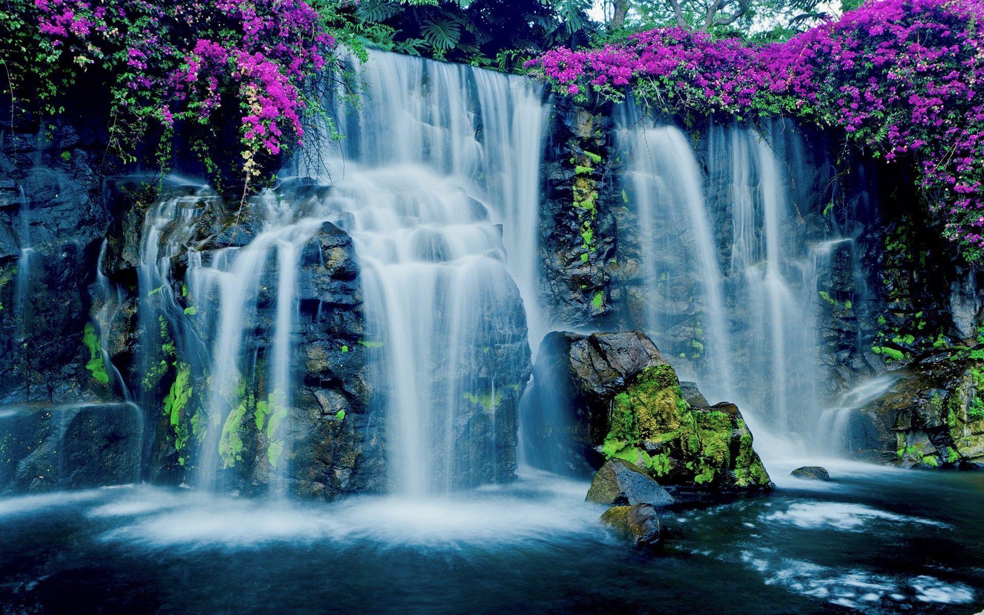 1920x1200 Hawaii Waterfall and Flowers Wallpaper at
