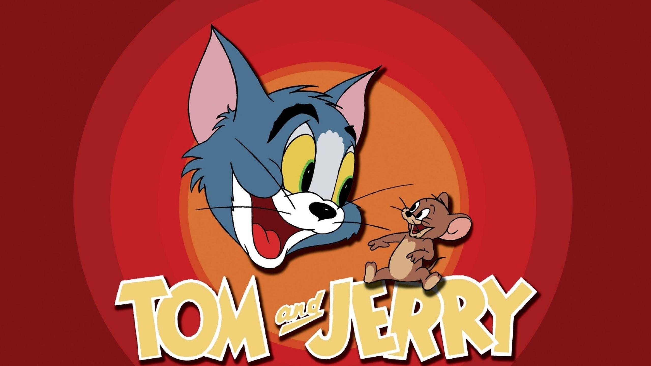 Tom and Jerry Wallpapers  Top Những Hình Ảnh Đẹp
