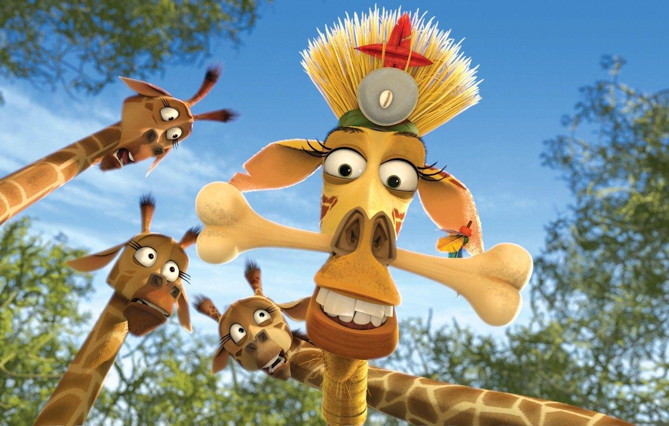 1332x850 Wallpaper the sky, cartoon, cartoon, Madagascar, giraffes