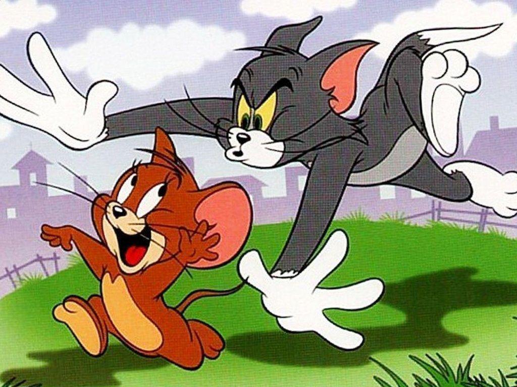 Hình nền Tom và Jerry 1024x768 cho điện thoại di động - hình nền