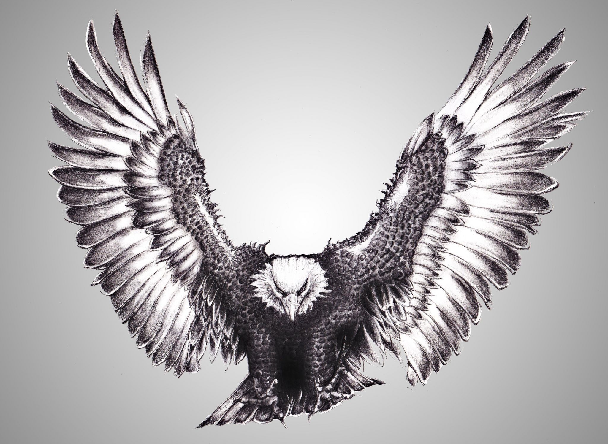 2048x1496 Eagle neck tattoo, Eagle tattoos