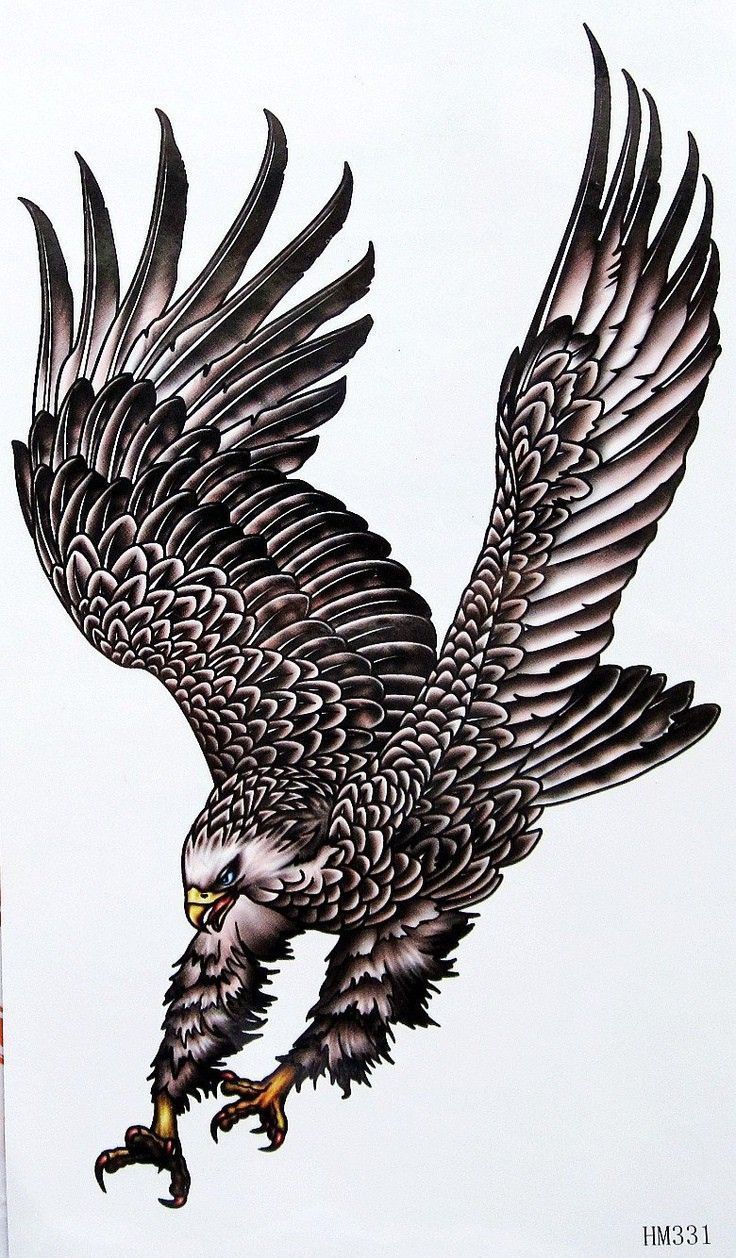 736x1258 Birds. Eagle tattoos, Eagle picture