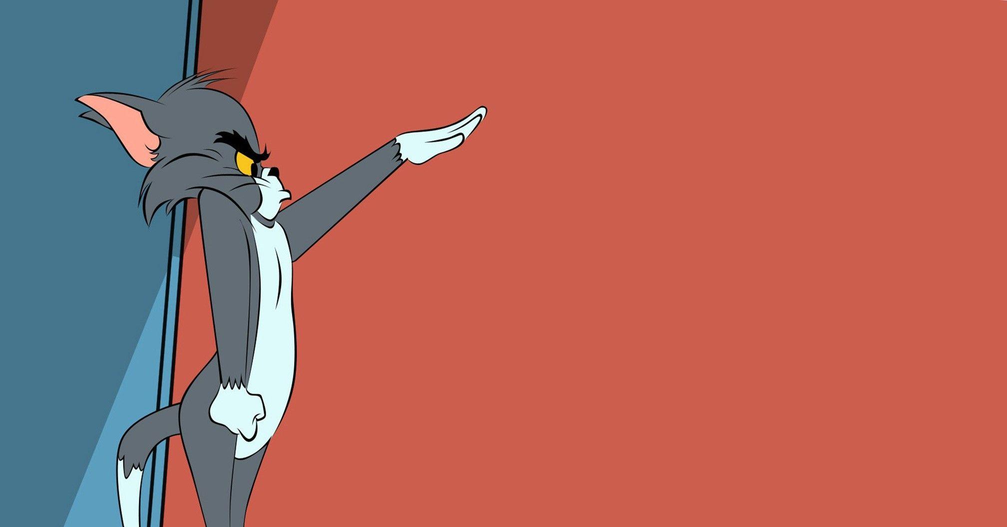 2016x1055 phim hoạt hình mèo tom và jerry hình nền and background