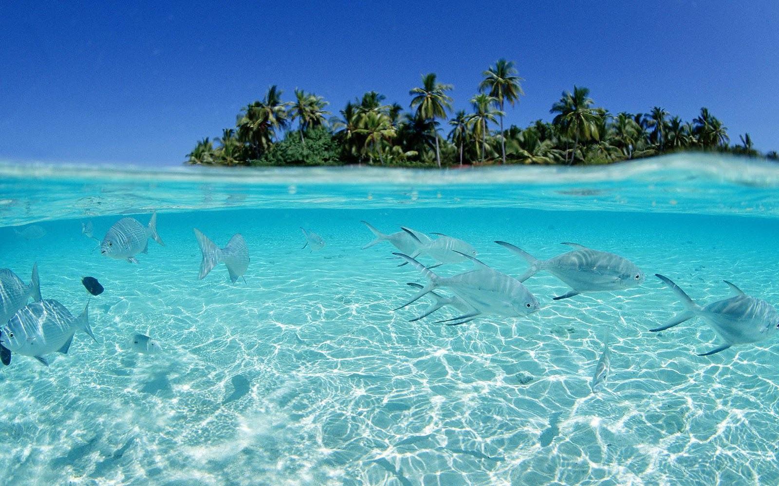 1600x1000 open seas tropical island.. Background tropical
