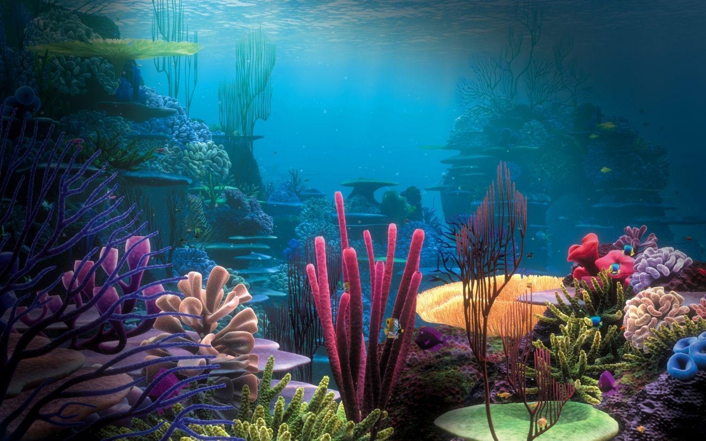 1440x900 Under the Sea Party. Wallpaper and Animal