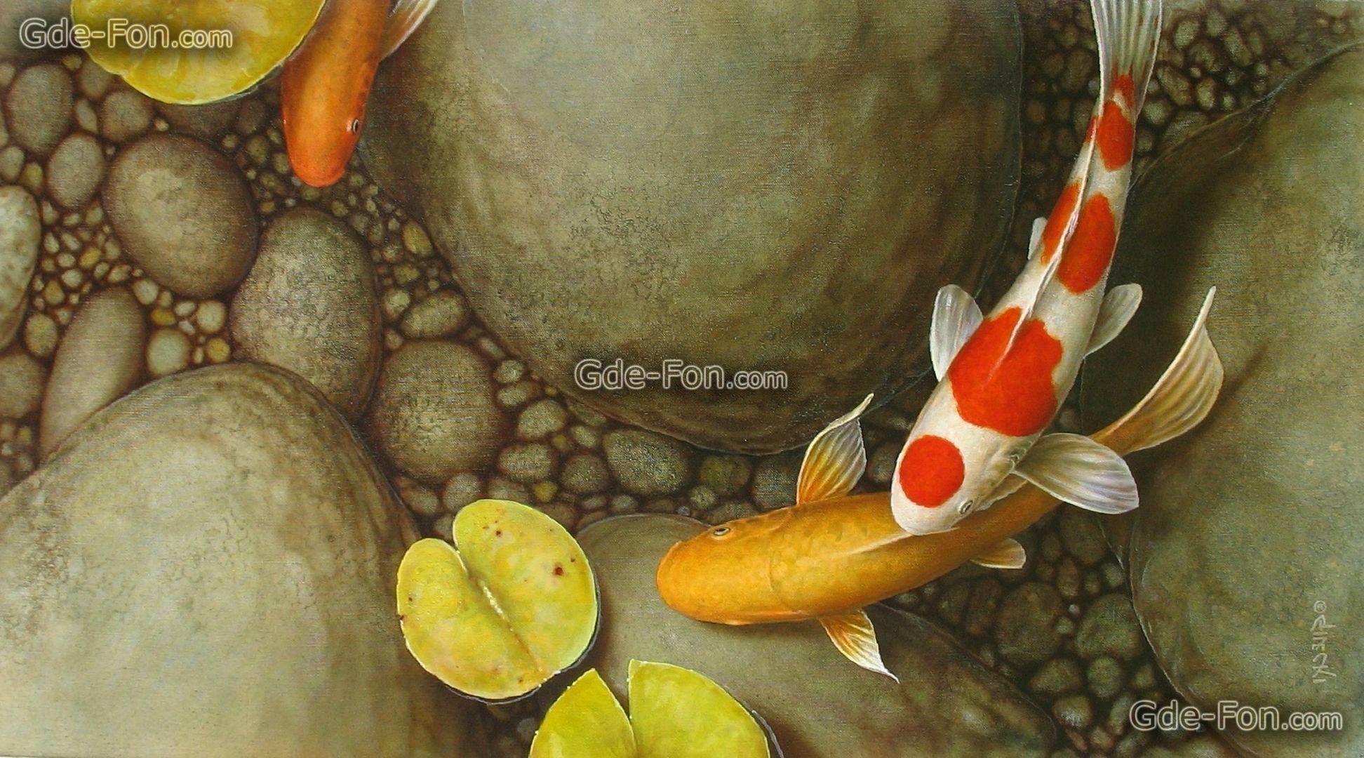 1944x1080 Koi Pond Wallpaper