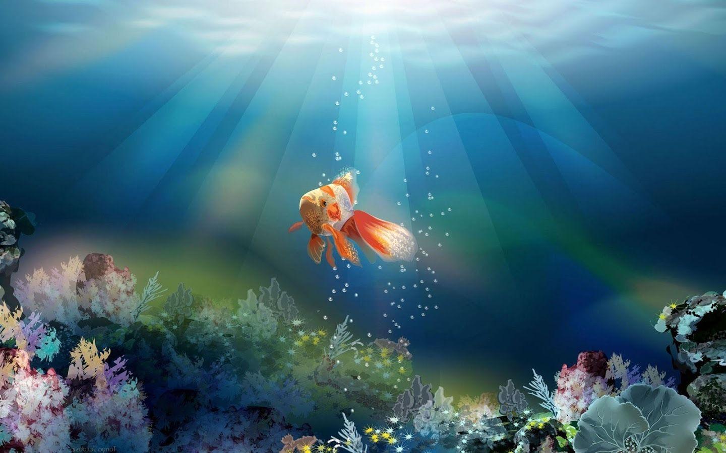 1440x900 Goldfish Wallpaper PC V2C8