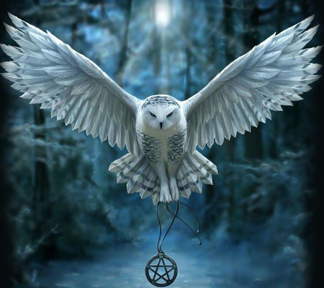 Featured image of post Iphone Harry Potter Owl Wallpaper Feel free to send us your harry potter and the chamber of