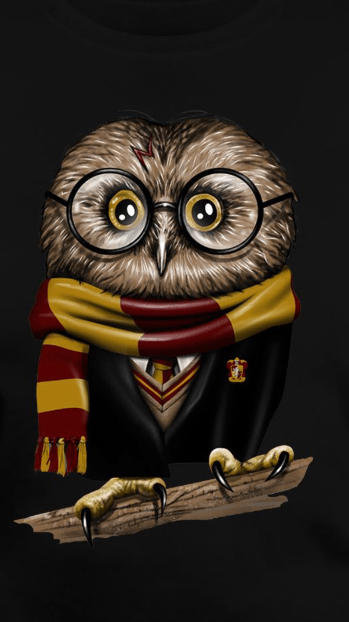 Harry Potter Owl Wallpapers - Top Free Harry Potter Owl Backgrounds