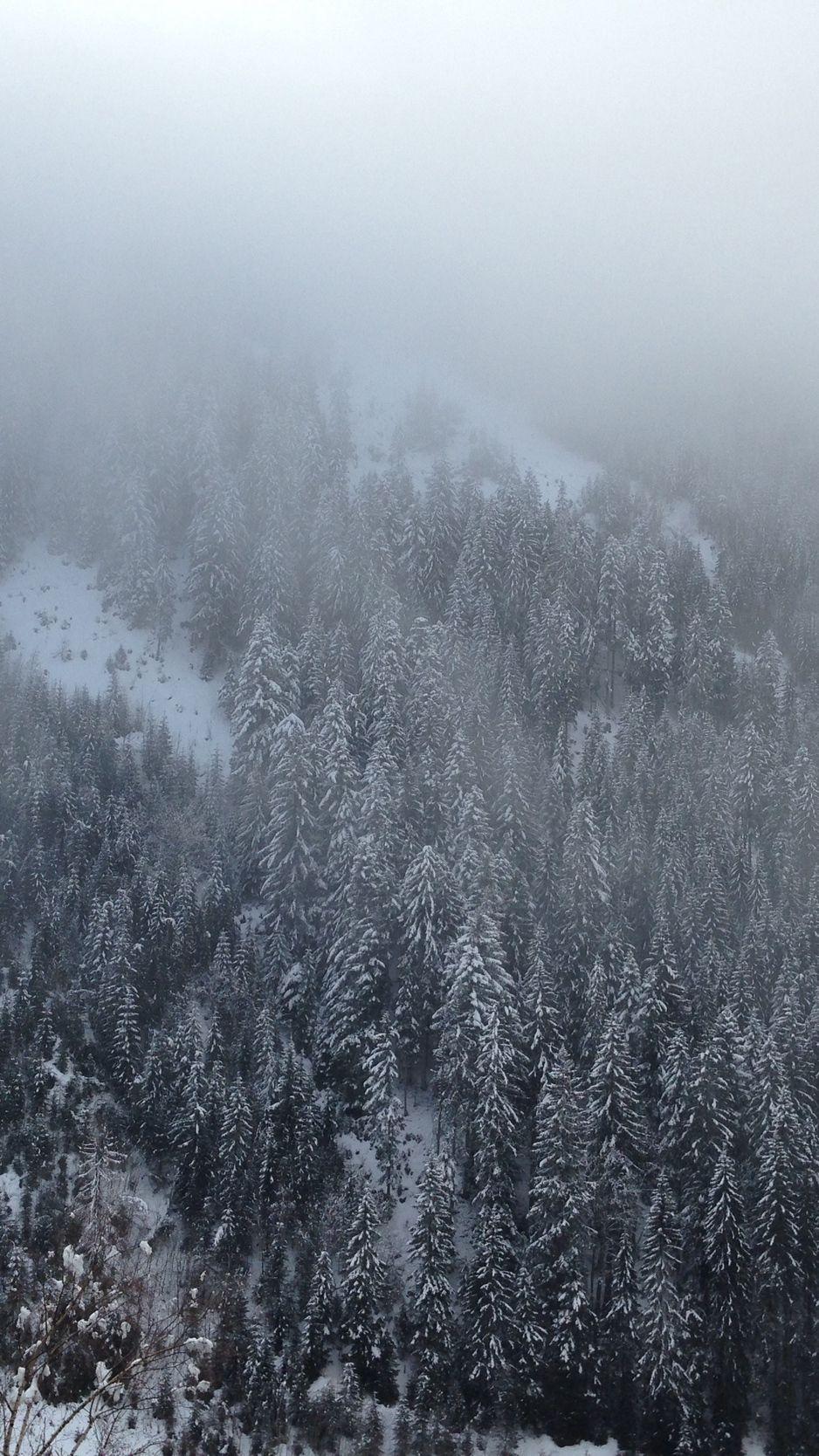 938x1668 Download wallpaper 938x1668 pine, trees, mountains, snow