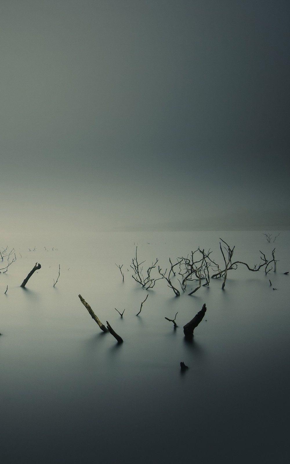 1000x1600 Ubuntu Gnome Mist Fog Underwater Trees Android Wallpaper