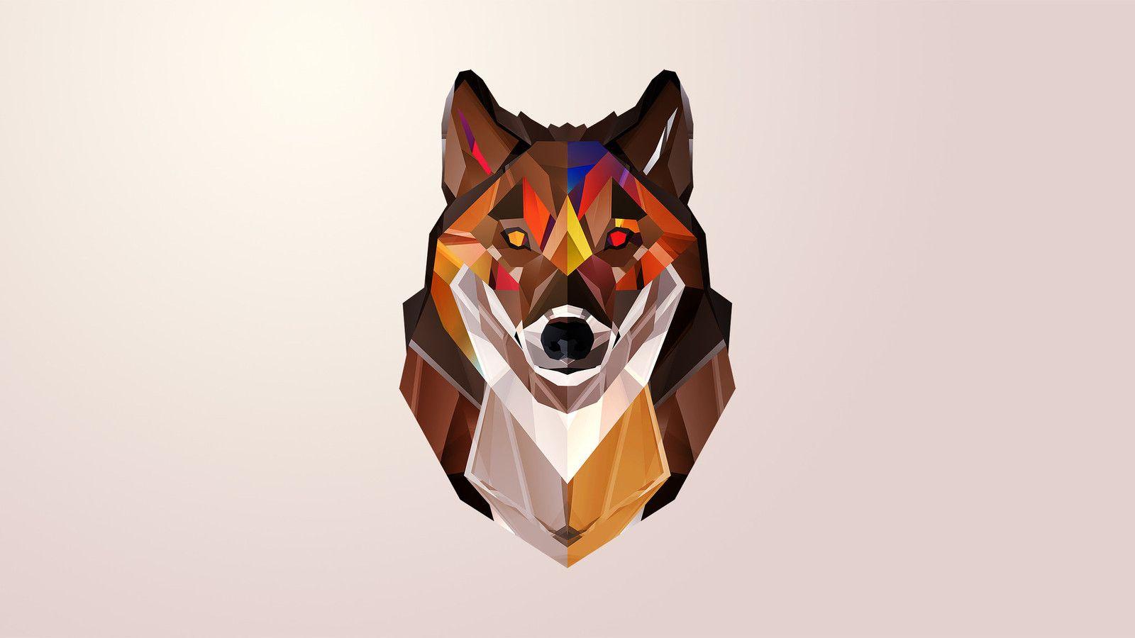 1600x900 Wolf Wallpaper