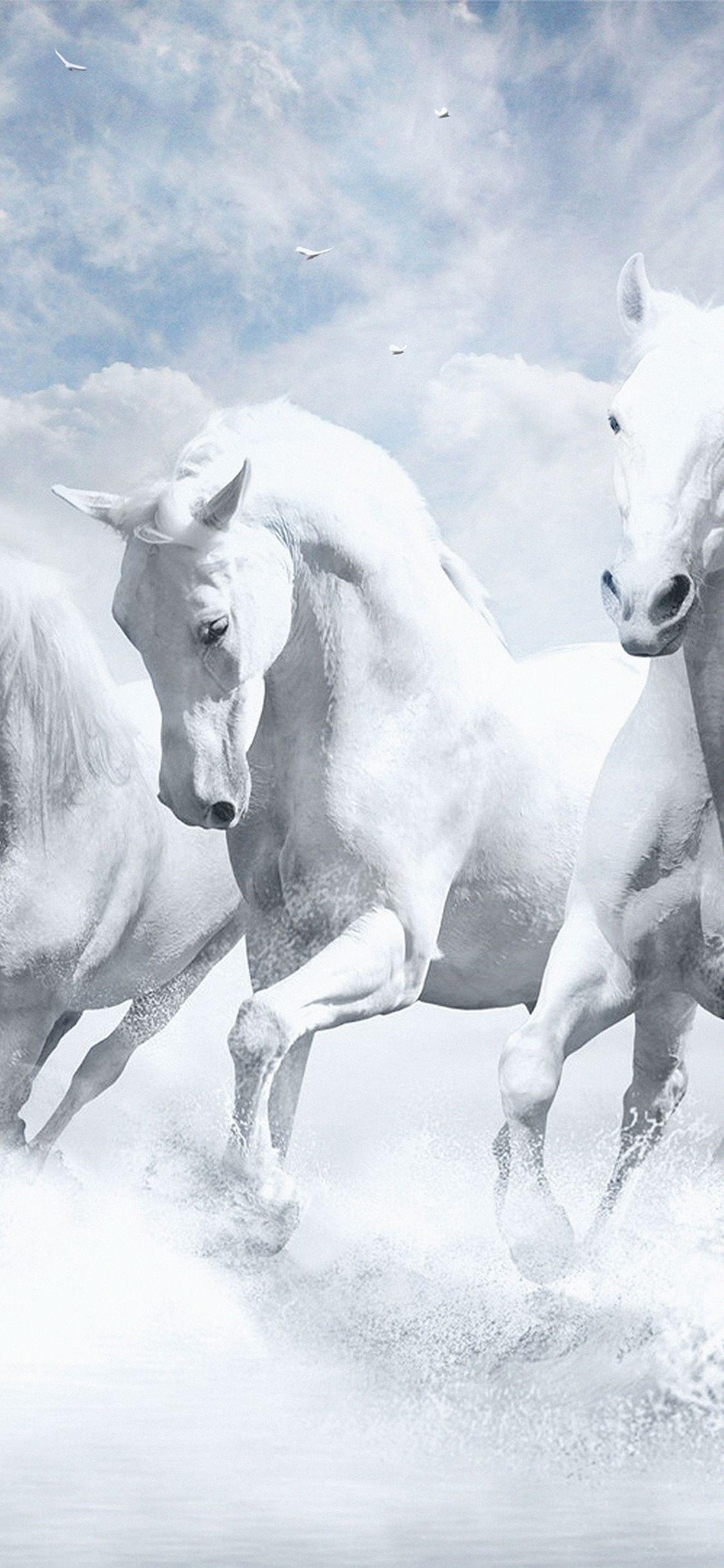 1125x2436 iPhone 8 wallpaper. white horses