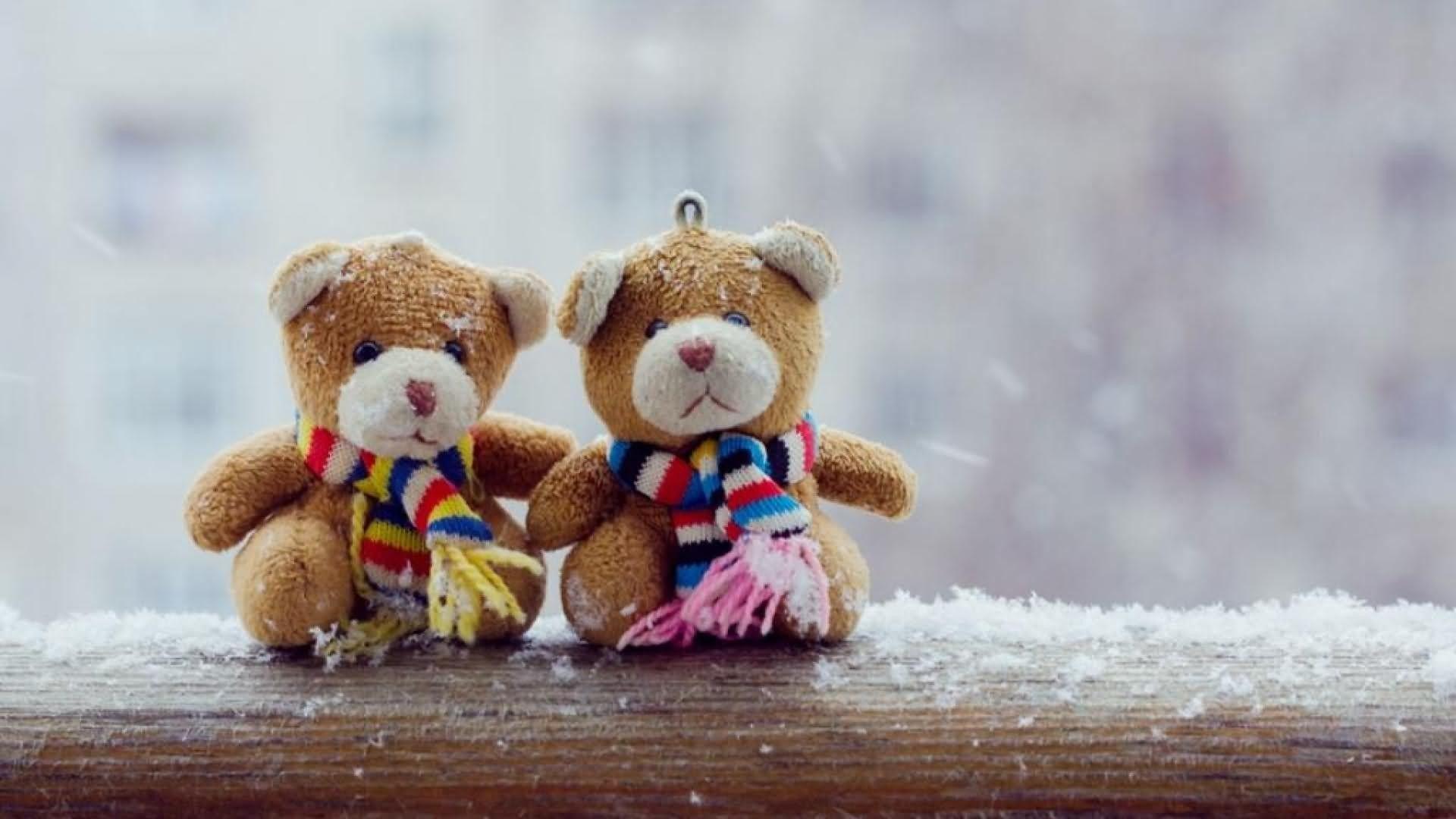 1920x1080 Forever Bear Wallpaper