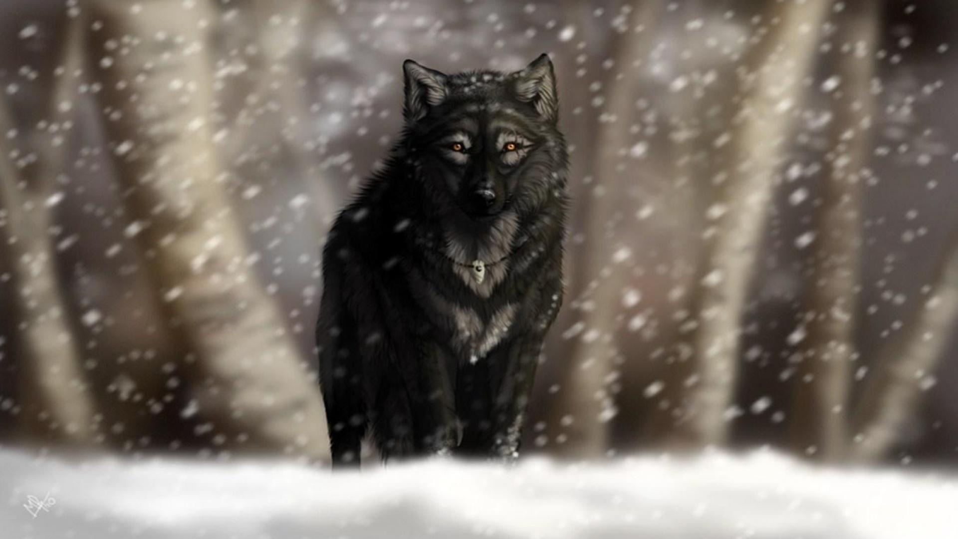 1920x1080 Snow Wolf Wallpaper
