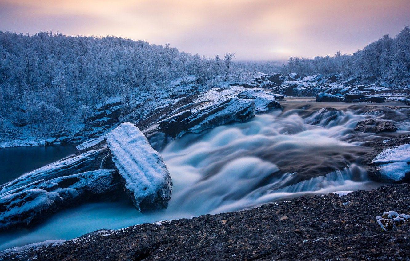 1332x850 Photo Wallpaper Forest, River, Sweden, Sweden, The