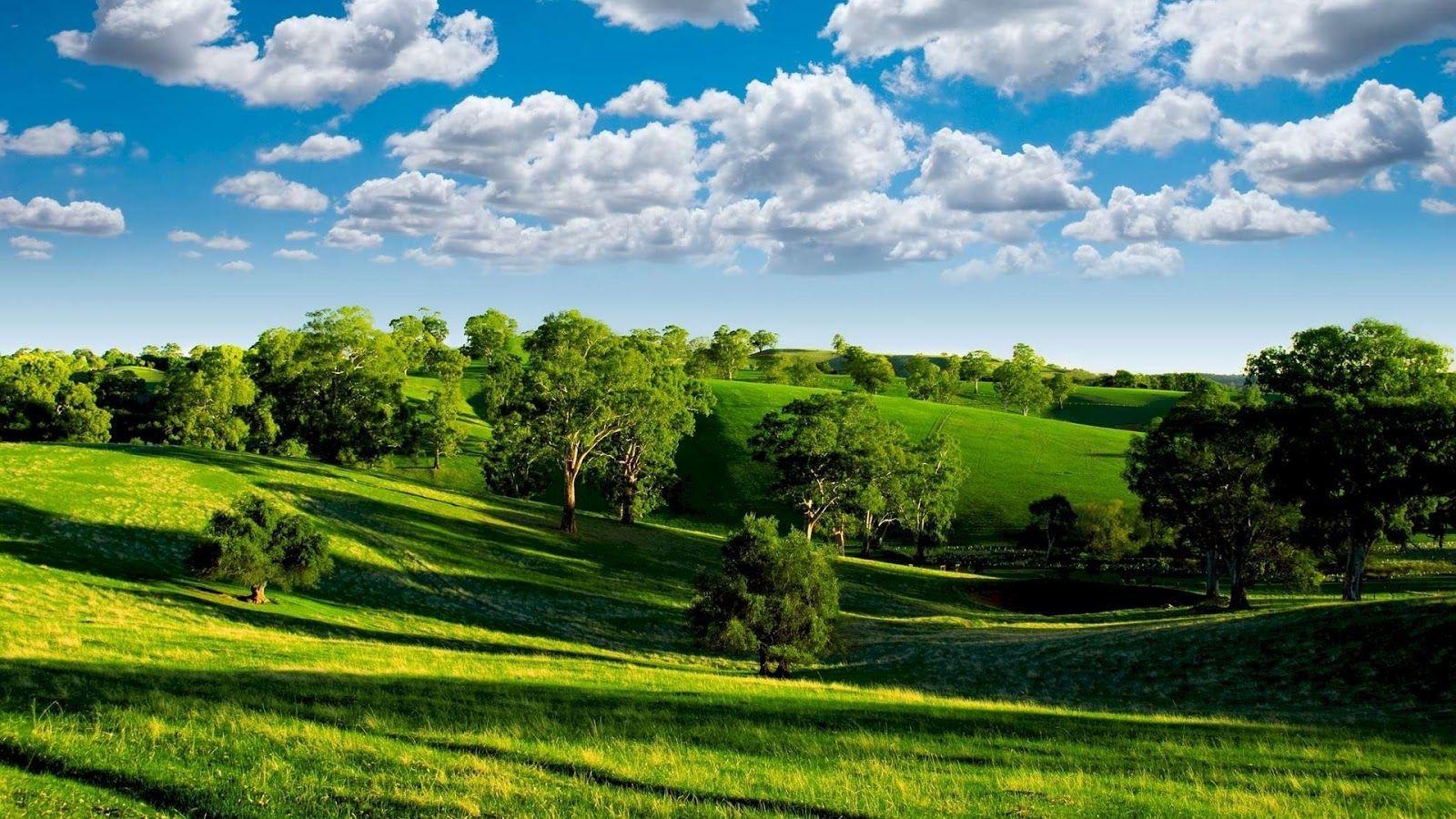 1600x900 Sweden Beautiful Scenery. Sceneries. Green landscape
