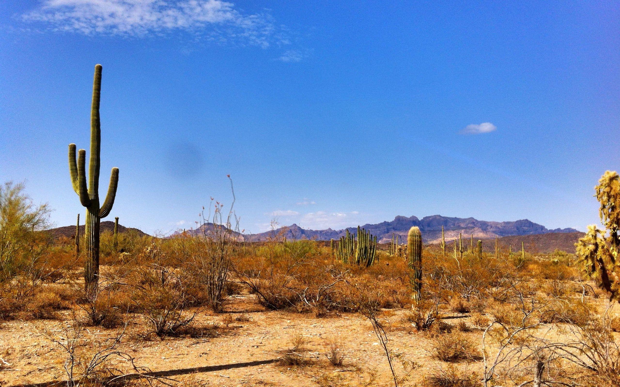 2560x1600 Phoenix Arizona Wallpaper