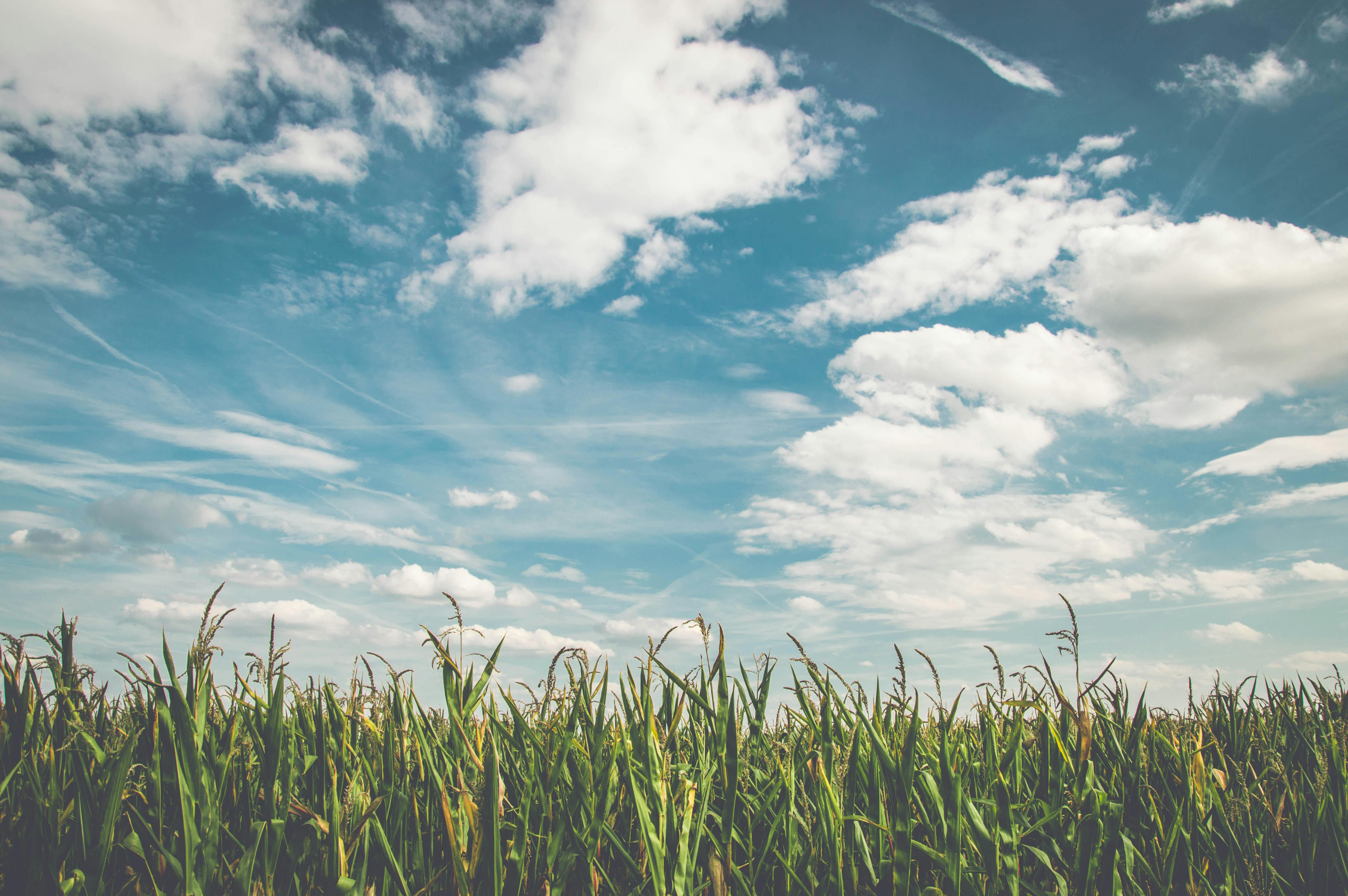 5854x3892 Best Clouds Photo · 100% Free