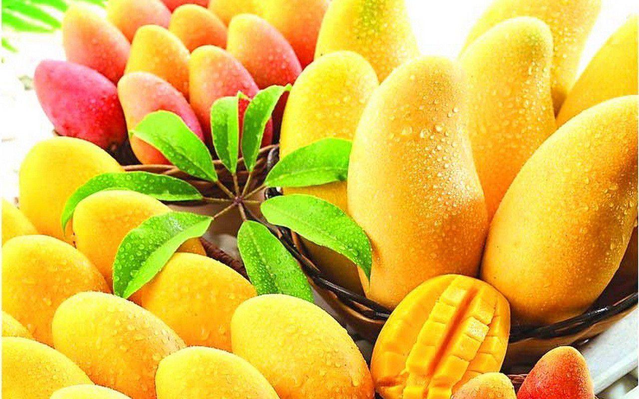 Fruit Mango Wallpapers - Top Free Fruit Mango Backgrounds - WallpaperAccess