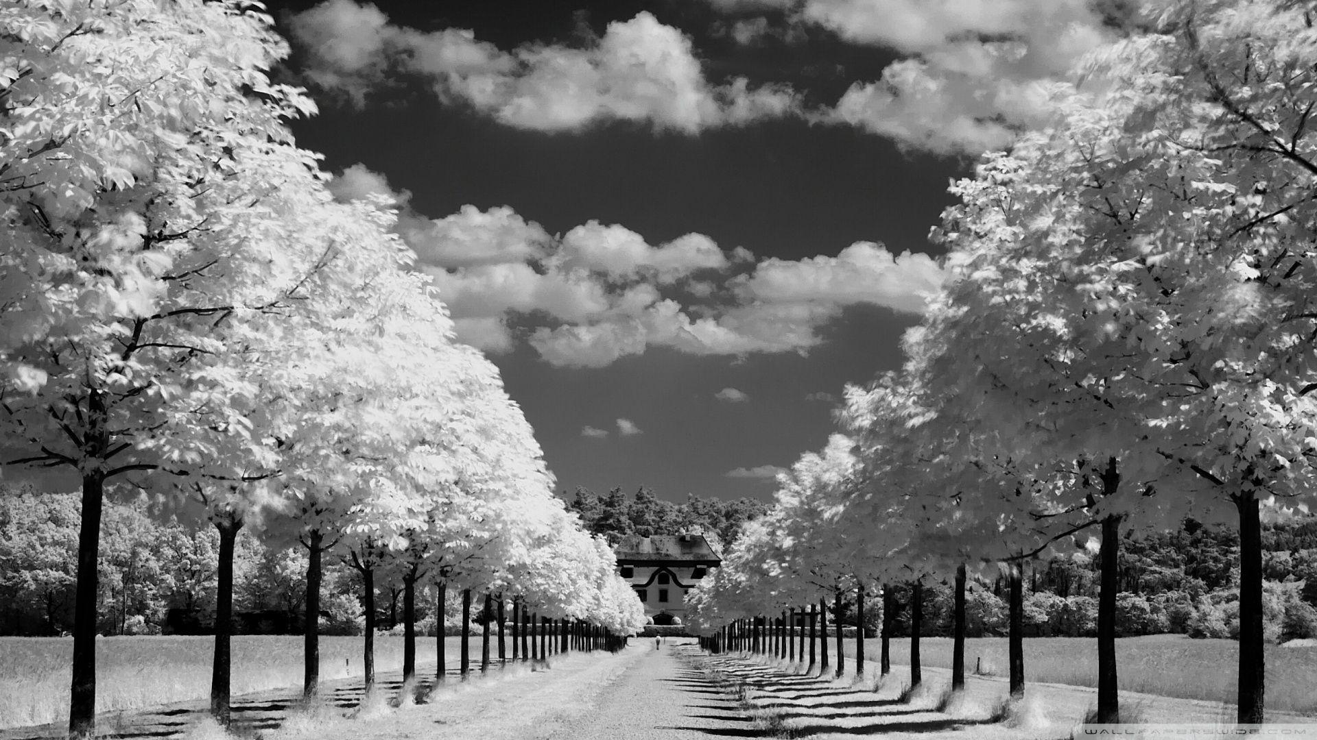 Black and White Desktop Wallpapers - Top Free Black and White Desktop ...