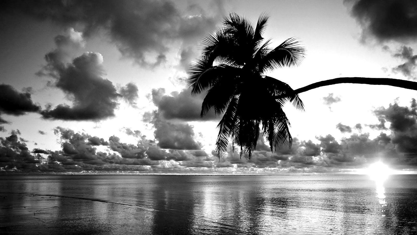 1600x900 Beach Black and White Wallpaper