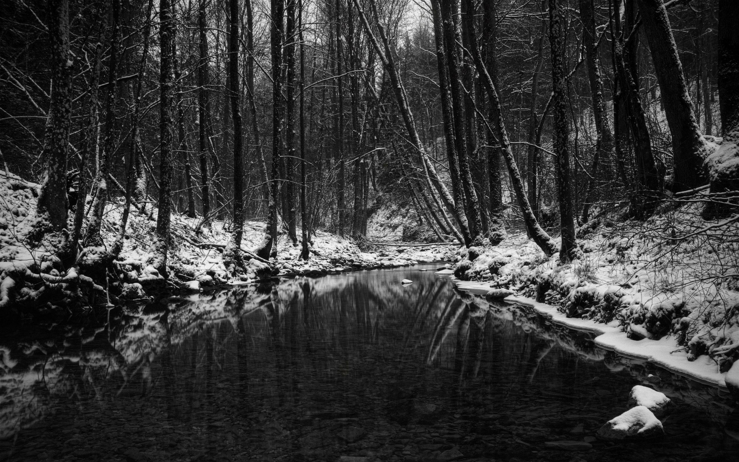 2560x1600 Black and White Wallpaper Desktop