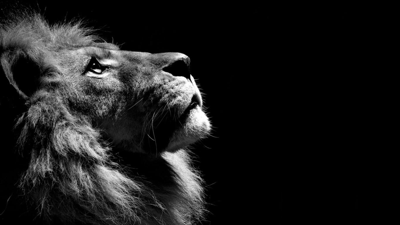 1366x768 Black And White Wallpaper HD 8 Widescreen Wallpaper