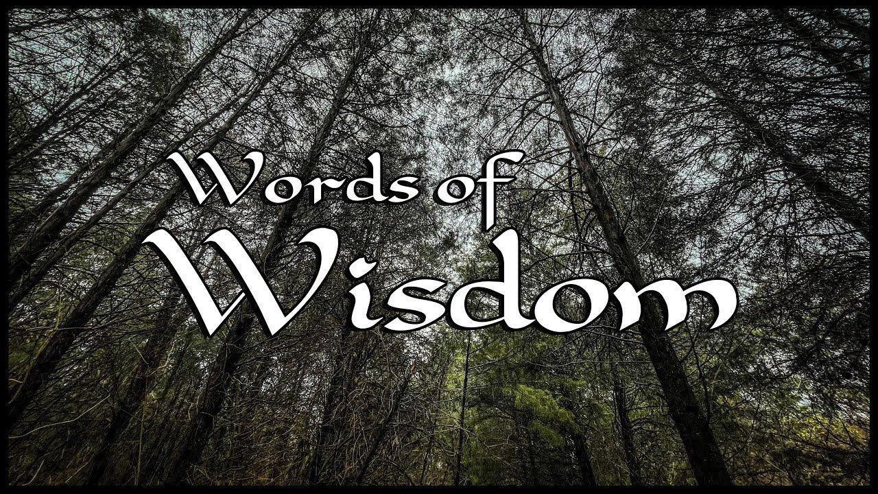 1280x720 Words of Wisdom: Advice for the New
