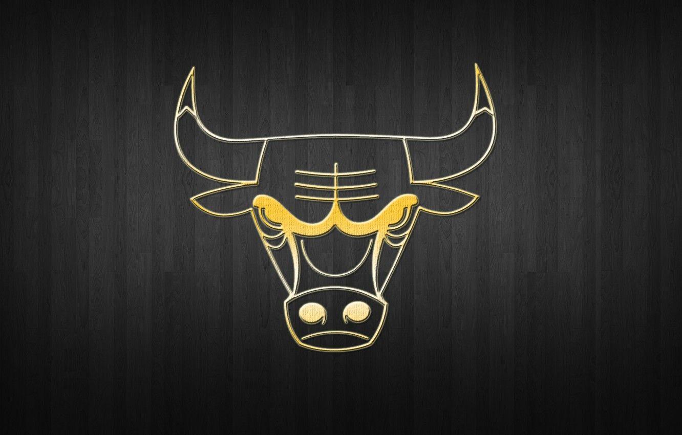 Hình nền bóng rổ 1332x850, Lý lịch, Logo, Vàng, NBA, Chicago