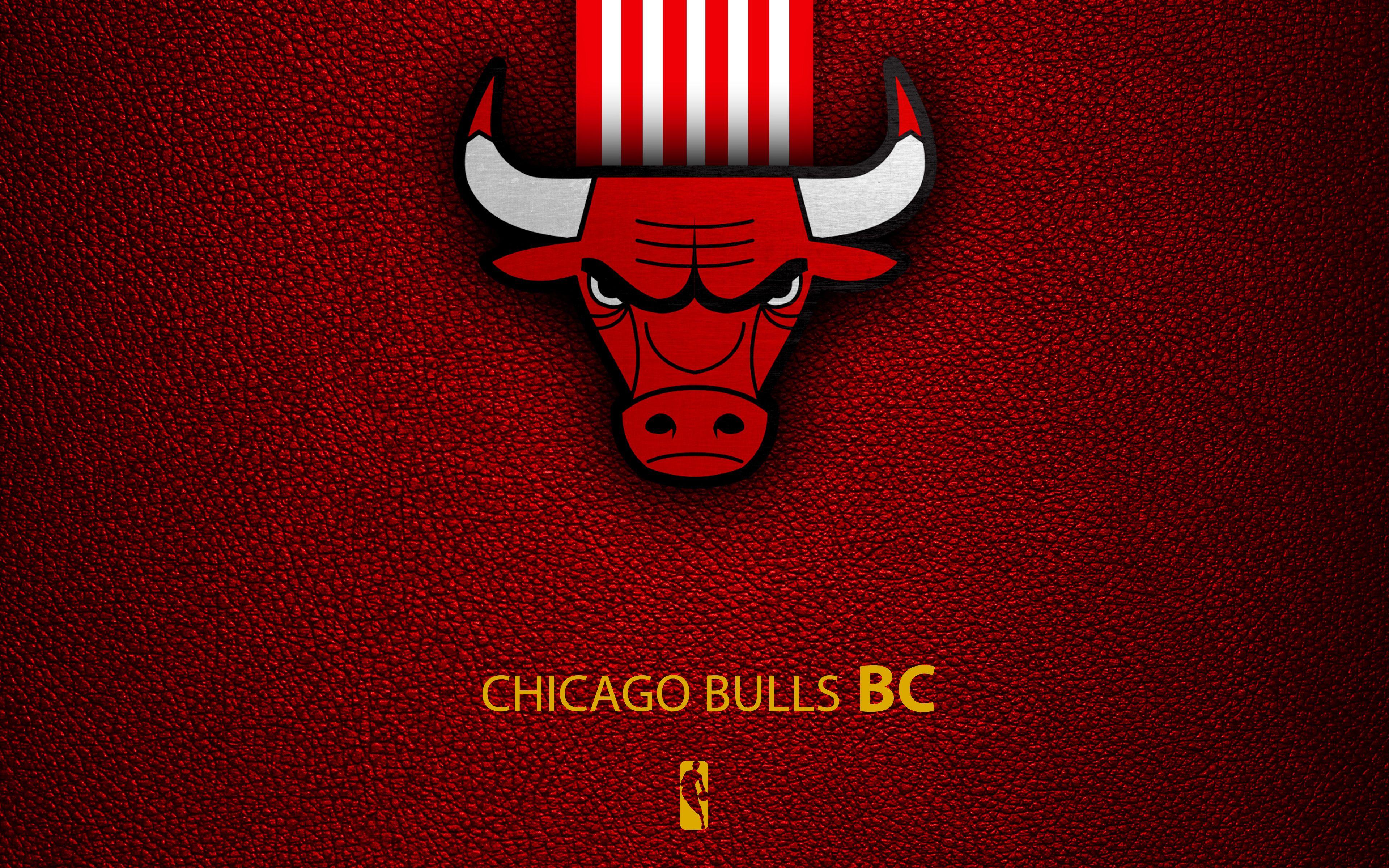 3840x2400 Chicago Bulls HD Hình nền và nền.  nổi danh