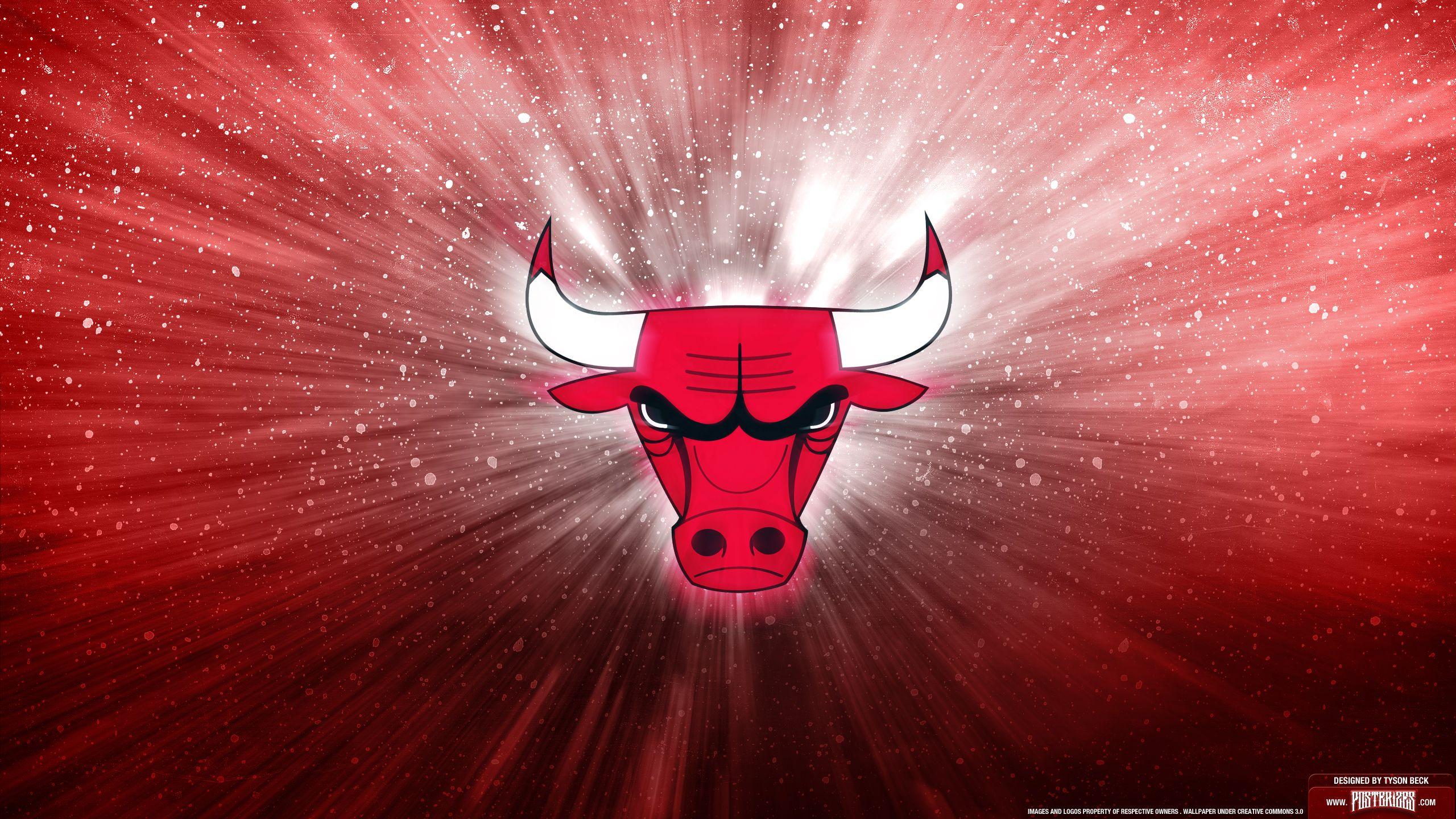 2560x1440 Chicago Bulls Hình nền Màn hình rộng # Yr7
