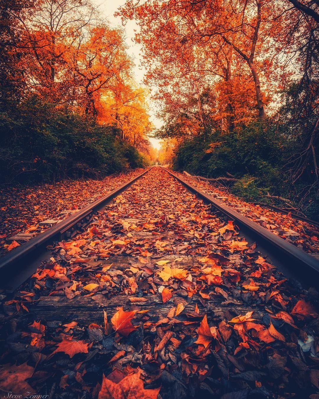 Aesthetic Fall Wallpapers - Top Free Aesthetic Fall Backgrounds