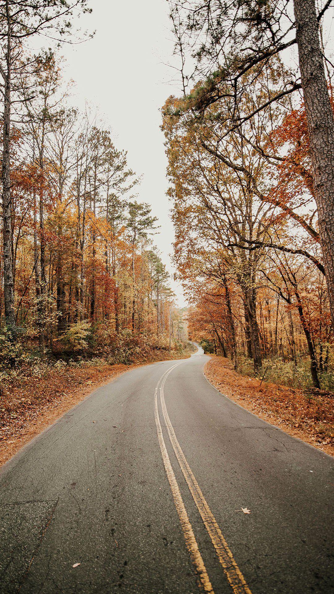 1080x1920 Best Autumn iPhone Wallpaper
