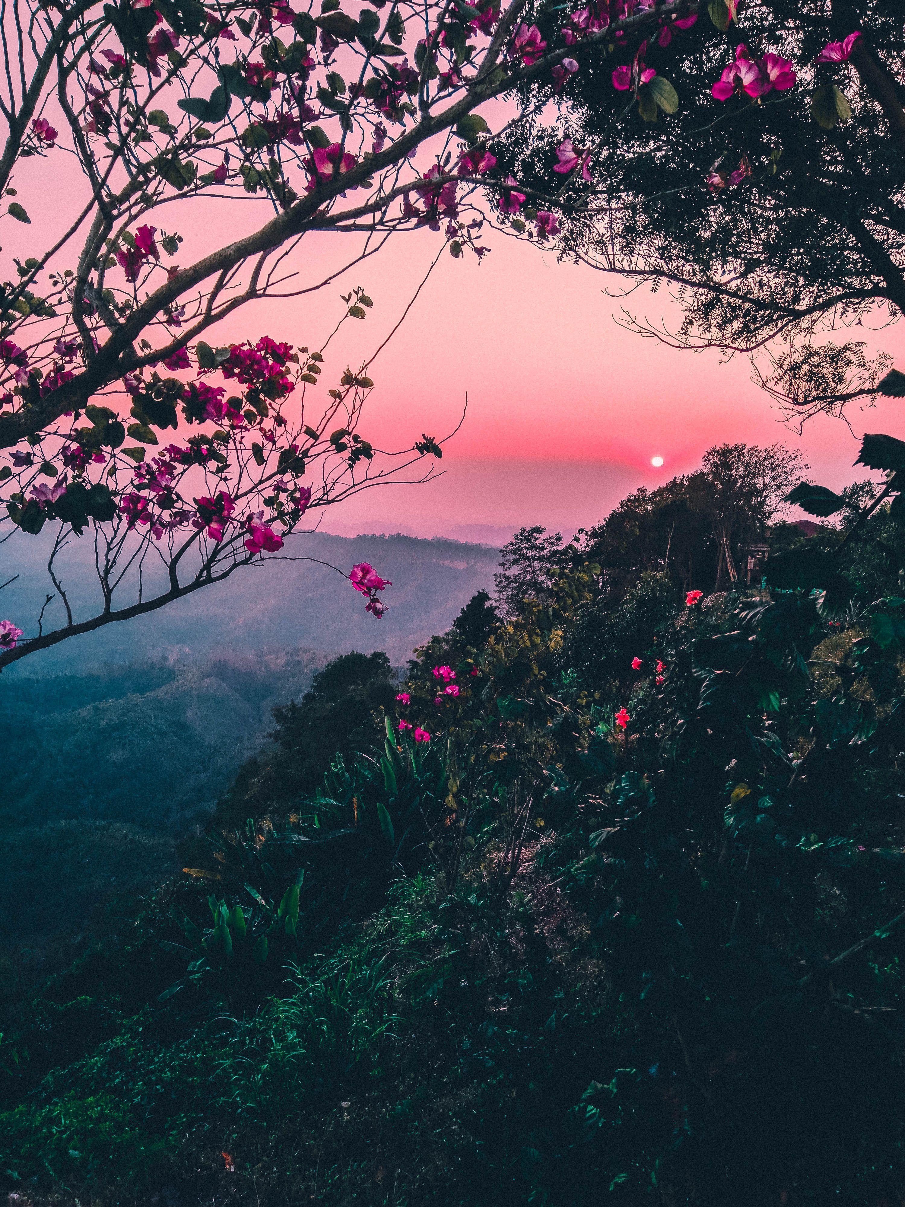 Vintage Aesthetic Landscape Wallpapers Top Free Vintage Aesthetic Vintage Aesthetic Landscape Wallpapers Top Free Vintage Aesthetic