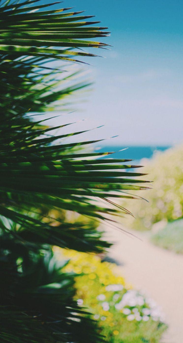 Blue Tree Wallpapers Top Free Blue Tree Backgrounds WallpaperAccess