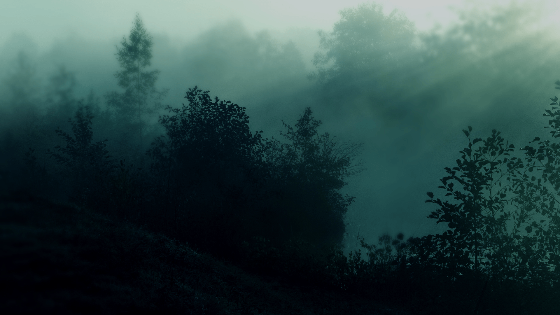 Dark Green Aesthetic Desktop Wallpapers - Top Free Dark Green Aesthetic