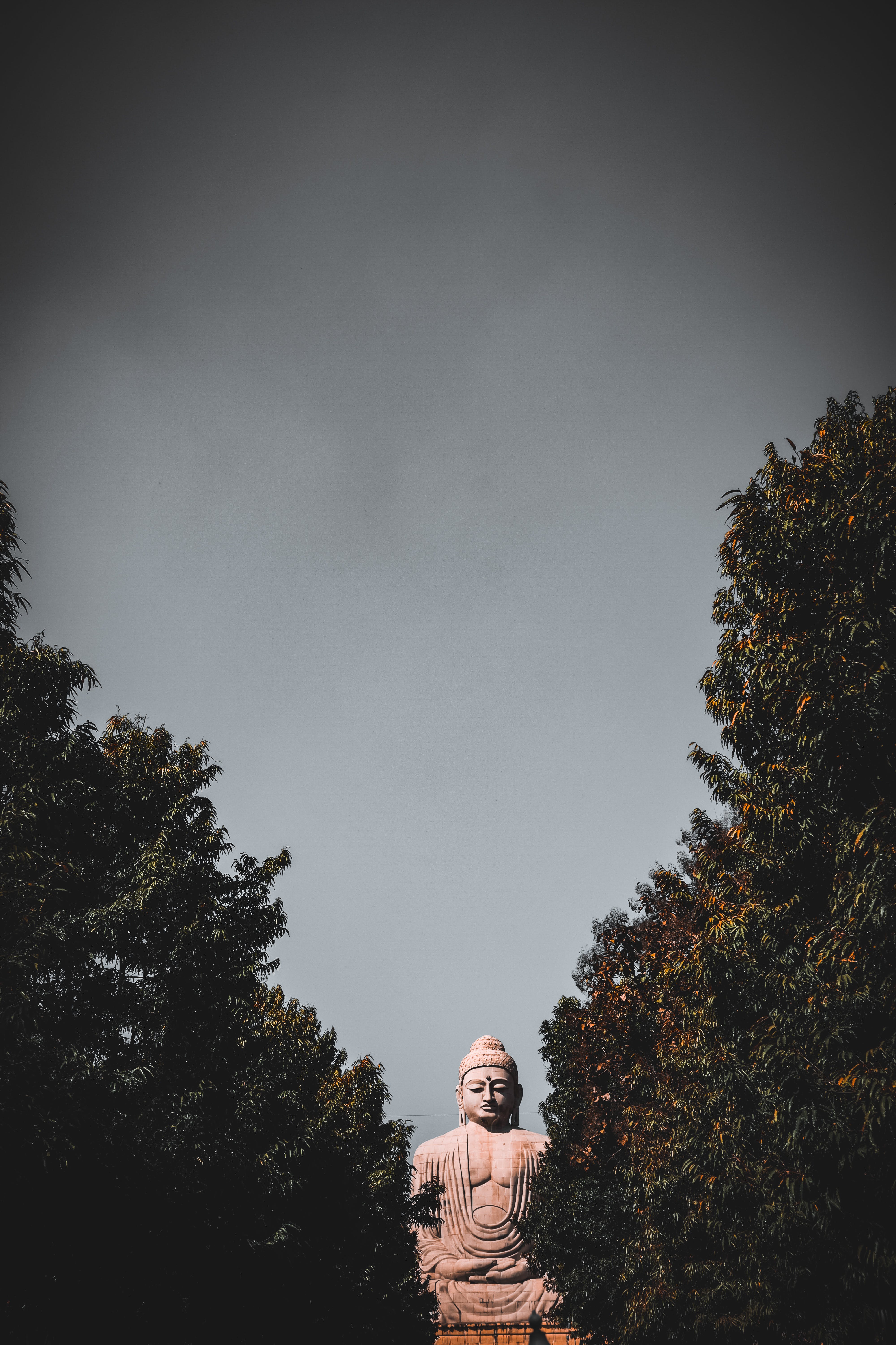 4000x6000 The Great Buddha Statue between Trees