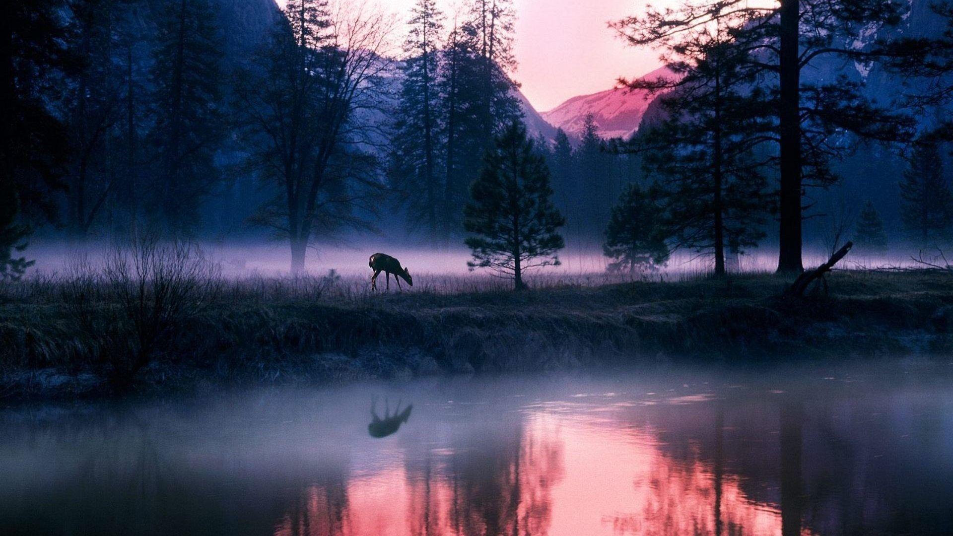 1920x1080 Nat Geo Wallpaper HD